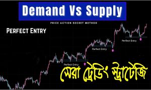 Supply and Demand Trading Strategy Forex Bangla| Forex Technical Analysis Bangla | Forex Trading BD