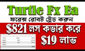 Turtle FX EA । Best Forex Robot Trading bangla । Forex Robot । Forex Bangla