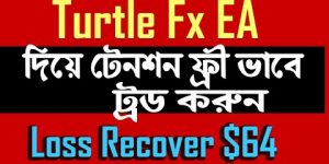 Turtle FX EA । Best Forex Robot Trading bangla । Forex Robot । Forex Bangla । Expart