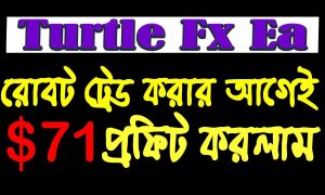 Turtle FX EA । Best Forex Robot Trading bangla । Forex Robot । Forex Bangla
